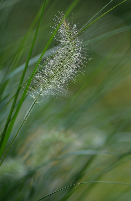 색채 이론 - 이미지