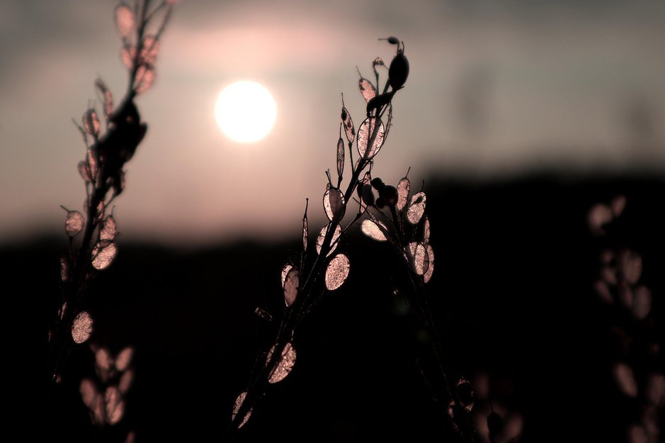 성과 강조 - 이미지