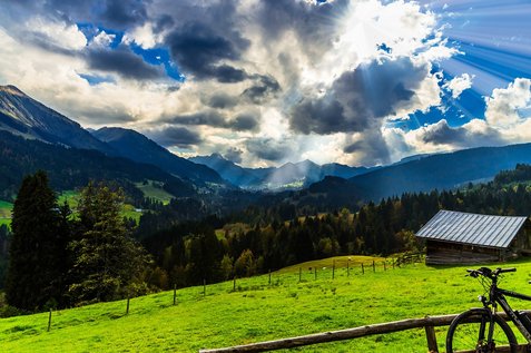 월세사는법 - 이미지