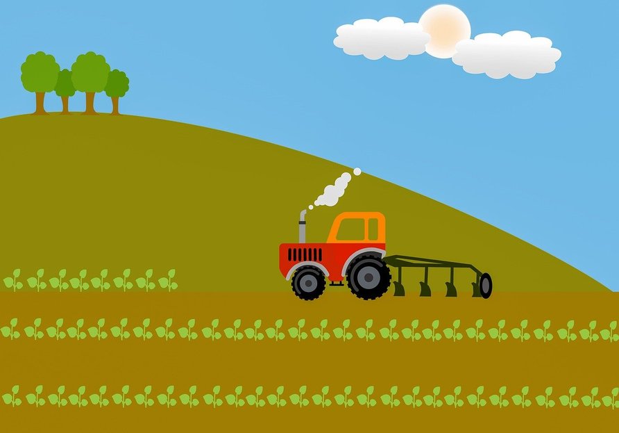 일러스트레이션 - 이미지