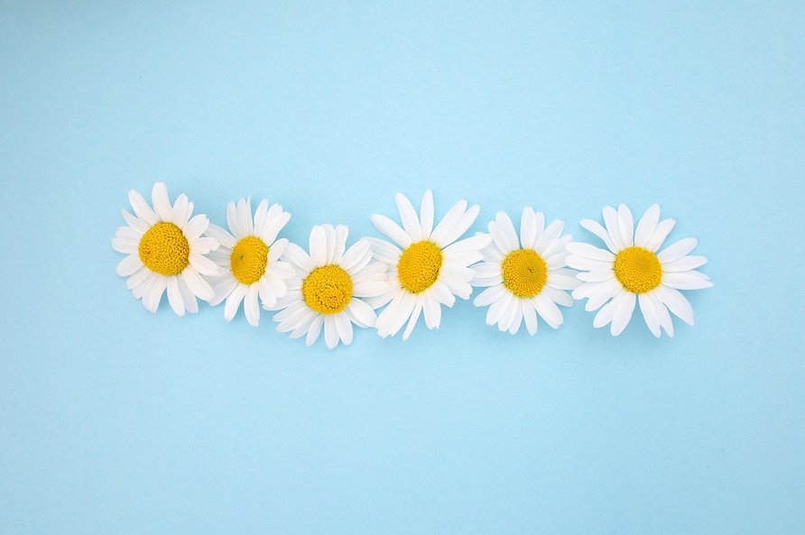 콘텐츠 저작권 - 이미지