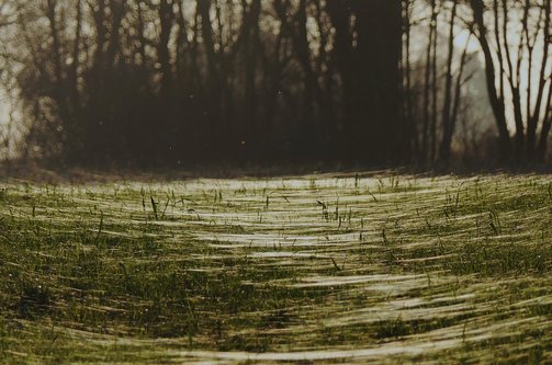 댄스레슨 - 이미지