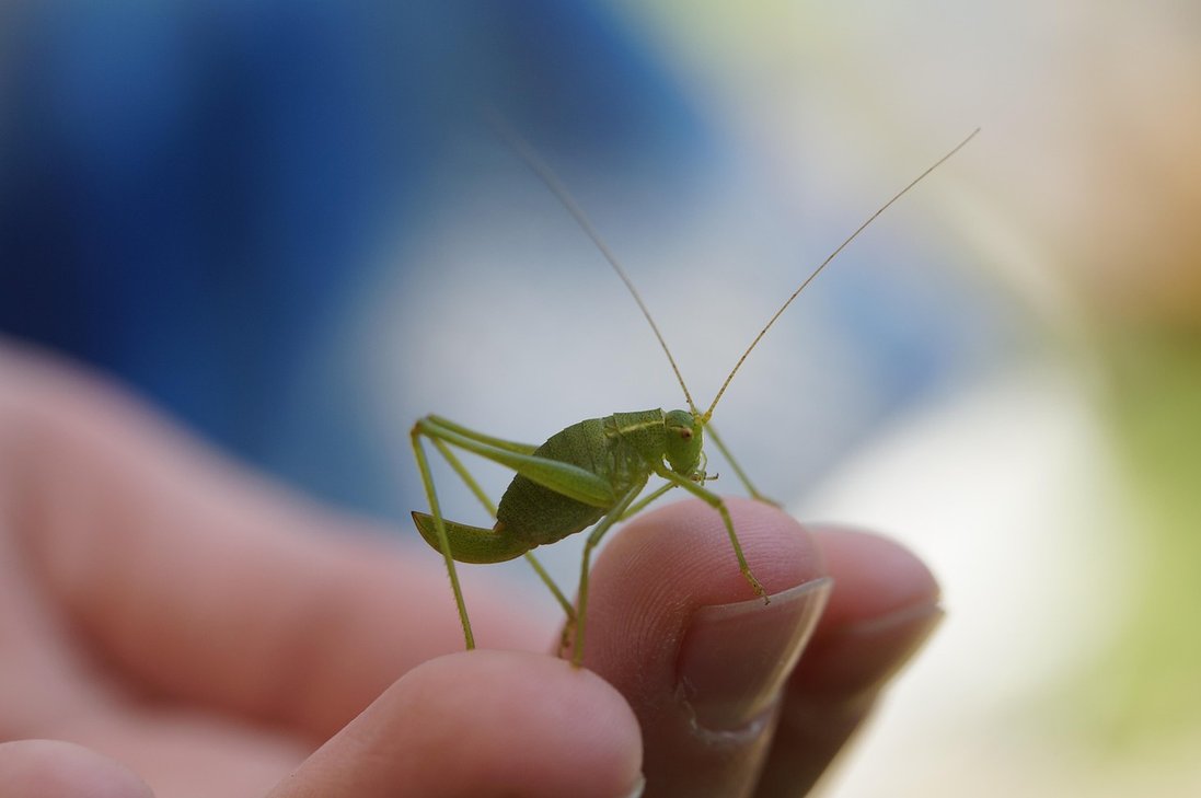 자연과의 - 이미지