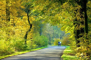 휴식 방법 - 이미지