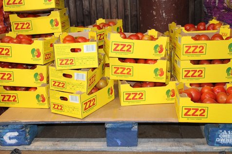 Costco Wholesale 주식차트 - 이미지