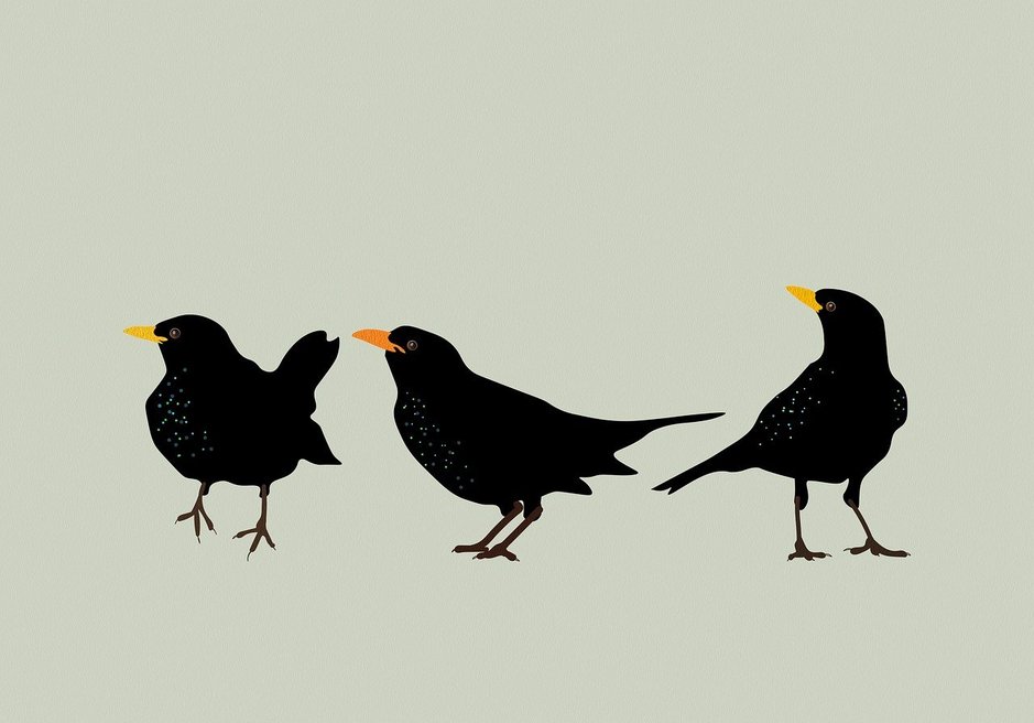 일러스트 제작 - 이미지