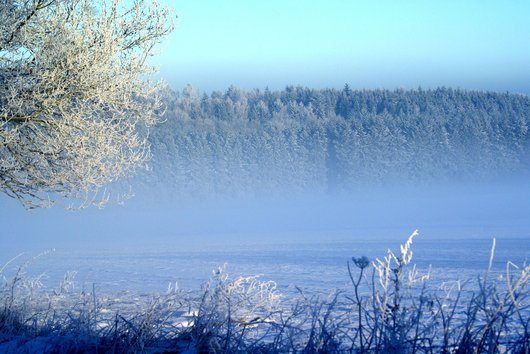 ISA세액공제 - 이미지