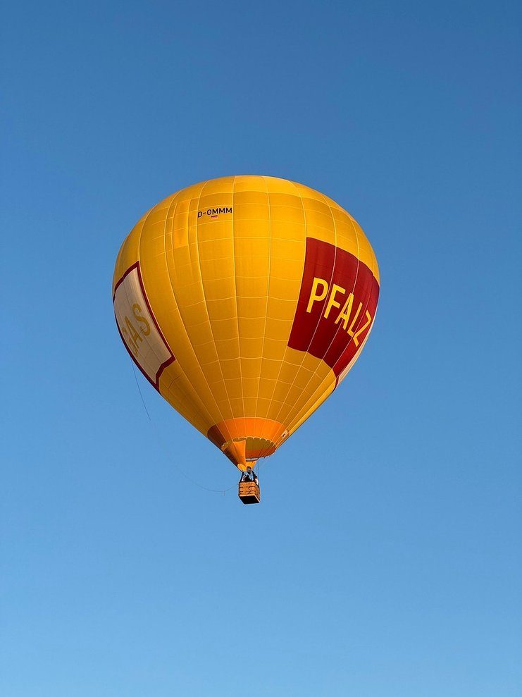 Natural Gas Futures 주식차트 - 이미지