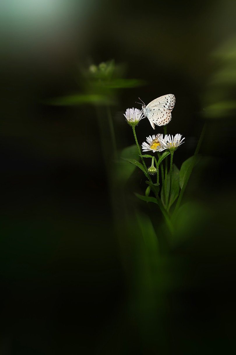 사진 보정 강의 - 이미지