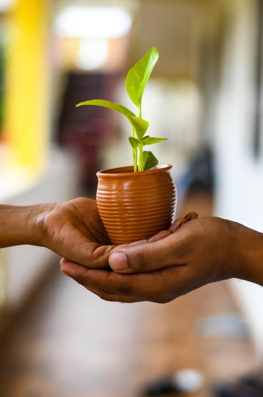 킥보드 재배치 - 이미지