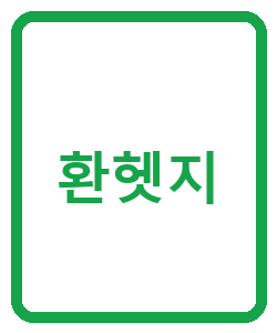 환헷지 - 이미지